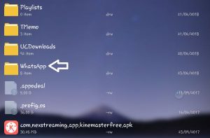 whatsapp status video download