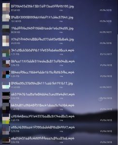 whatsapp status video download