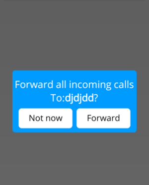 Call Forwarding 