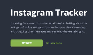 hack instagram with mspy