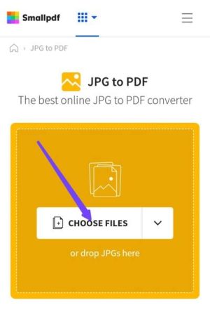 choose files