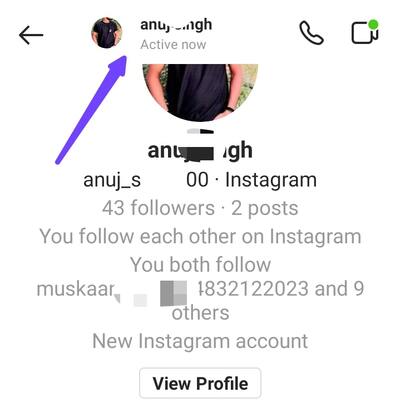 Instagram Active Now