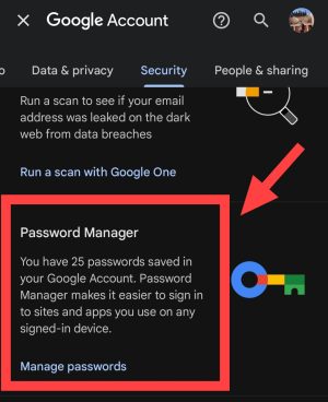Password manager 